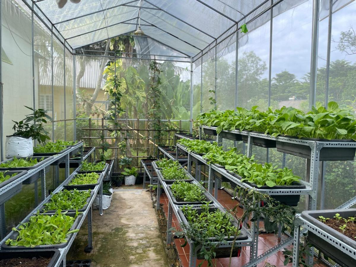 Tropical Garden Phu Quoc Apartment Екстериор снимка