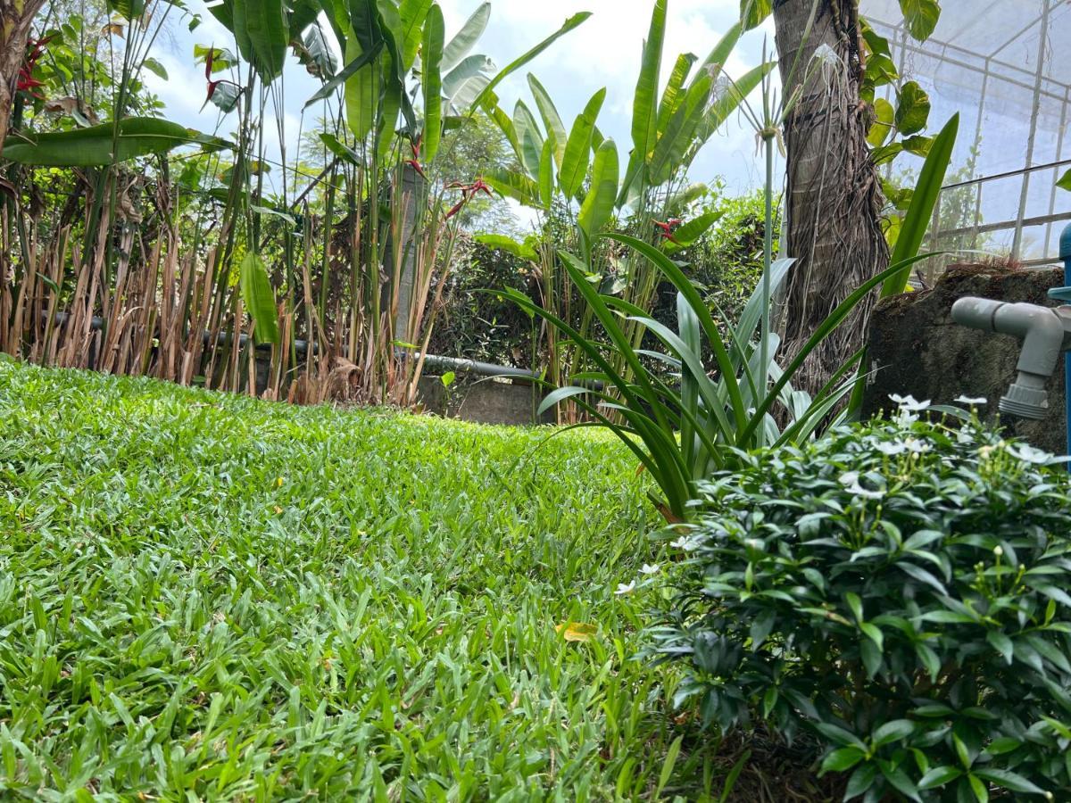 Tropical Garden Phu Quoc Apartment Екстериор снимка
