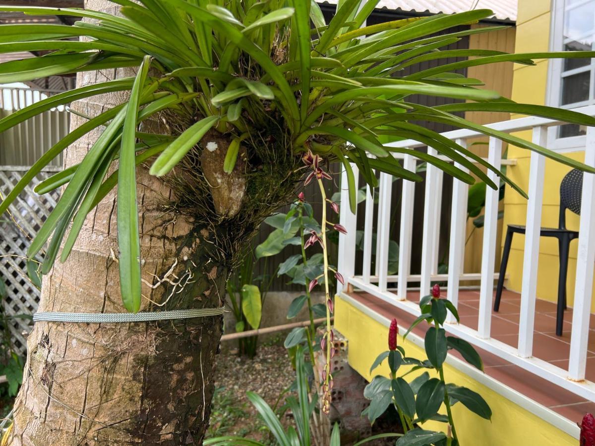 Tropical Garden Phu Quoc Apartment Екстериор снимка